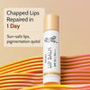 Natural Lip Balm for Chapped Lips | SPF 50 PA++++ | Natural - 4.5 gm