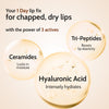 Natural Lip Balm for Chapped Lips | SPF 50 PA++++ | Natural - 4.5 gm