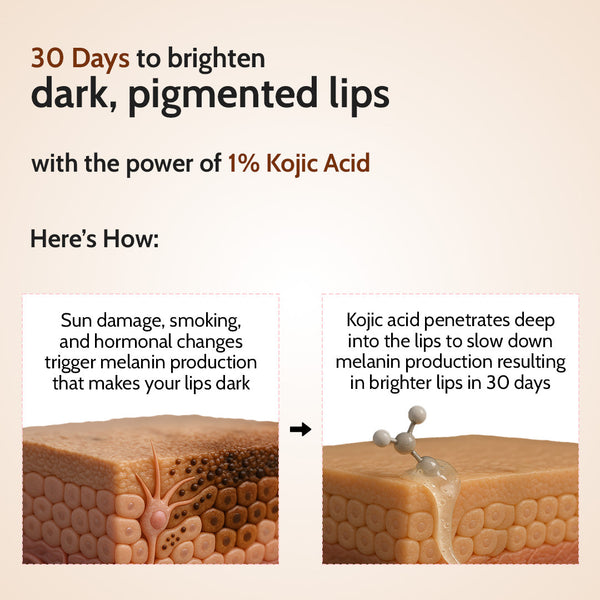 Natural Lip Balm for Chapped Lips | SPF 50 PA++++ | Natural - 4.5 gm
